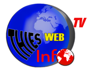 Thiesweb Logo