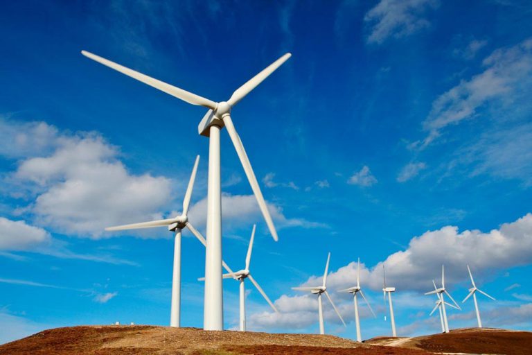 Lutte contre l’érosion hydrique et éolienne: Les femmes de Notto Diobass à l’avant-garde du combat