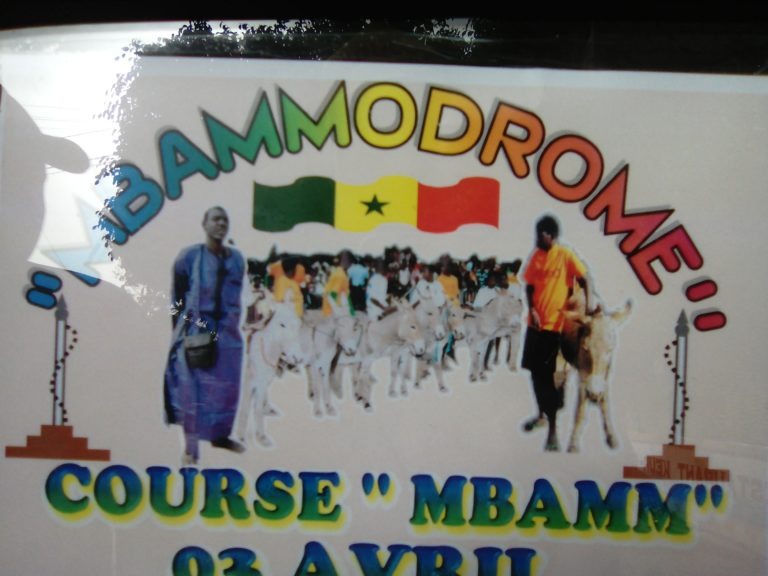 Festivités de la fête de l’indépendance à Thiès, Plus de 58 « Mbamms » attendus au « Mbammodrom »