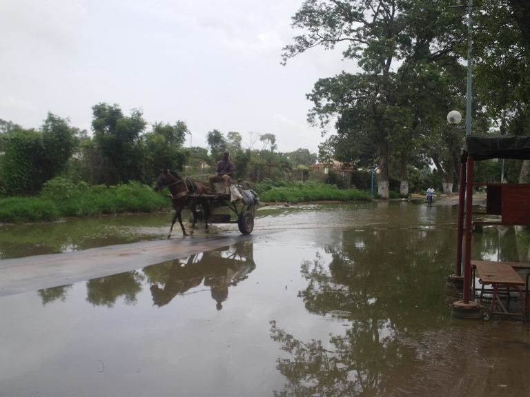 A Thiès,  l’eau stagnante sur l’avenue Lat Dior déshonore le héros national