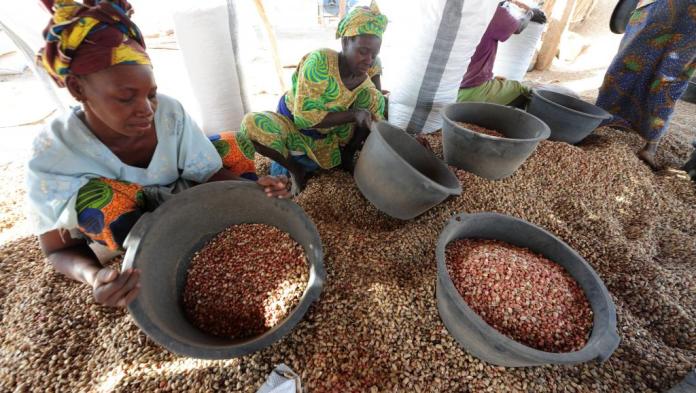 Sénégal: quand les paysans se mêlent aux revendications ?