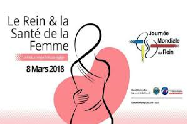 Journée mondiale du rein: les femmes plus touchées par les maladies rénales