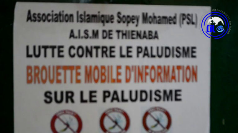 Lutte contre le paludisme, Les 7 stratégies communautaires de la victoire de l’AISM