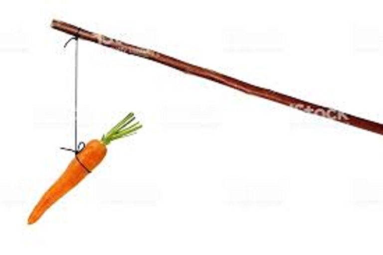 Nomination de Dg par le président Macky Sall, La carotte et le bâton