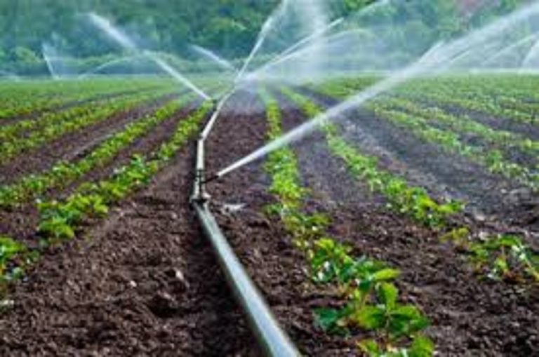 Le projet  d’appui régional à l’initiative pour l’irrigation au Sahel (Pariis), Le choix des sites critiqué