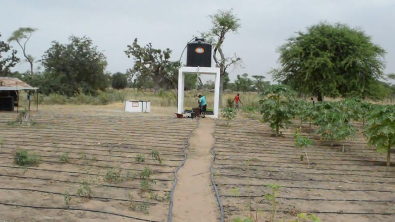 Développement socio-économique du Sénégal, GIPS/WAR invite le président Macky Sall à l’autonomisation des terroirs