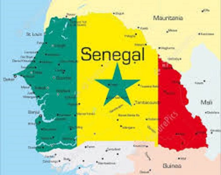 Chronique de Babs : Experts Sénégalais, Debout