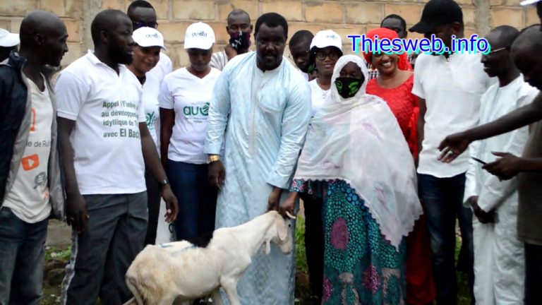 Tabaski 2020, Le mouvement AUDIT distribue des moutons et dénonce une mauvaise gestion de l’aide alimentaire destinée aux populations dans le cadre du fonds force covid 19