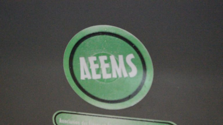 Assemblée générale de l’AEEMS Thiès, La jeunesse de l’AEEMS citée en exemple par le RIS