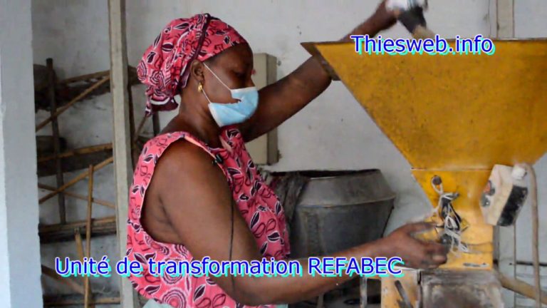 TRANSFORMATION DE PRODUITS LOCAUX, UNE FEMME AUX MANETTES A L’UNITE DE TRANSFORMATION  DU REFABEC