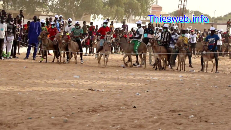 16ième édition du Mbamodrome de Thiès, Sanokho tire un bilan satisfaisant et déplore le comportement de certaines autorités