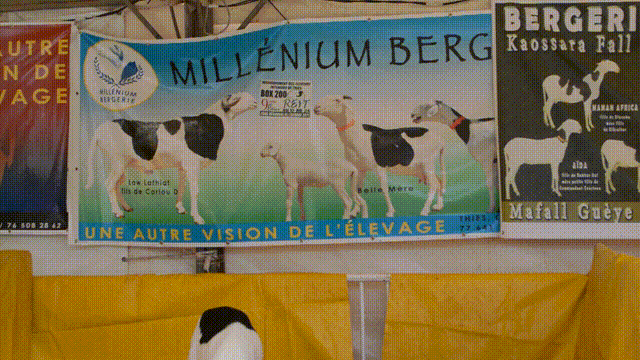 9ième édition de la Foire du REIT, Millénium Bergerie Séné Mali expose une autre vision de l’élevage