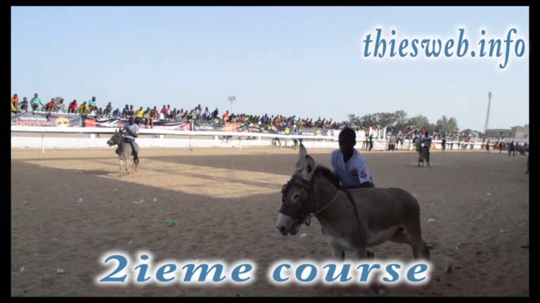 17ième édition course Mbame de Thiès, Les ânes n’ont pas dérogé à leur tradition