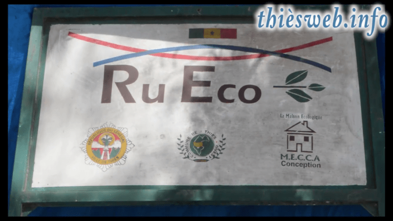 Concept Rue Eco, La commune de Thiès Ouest promet d’accompagner l’initiative