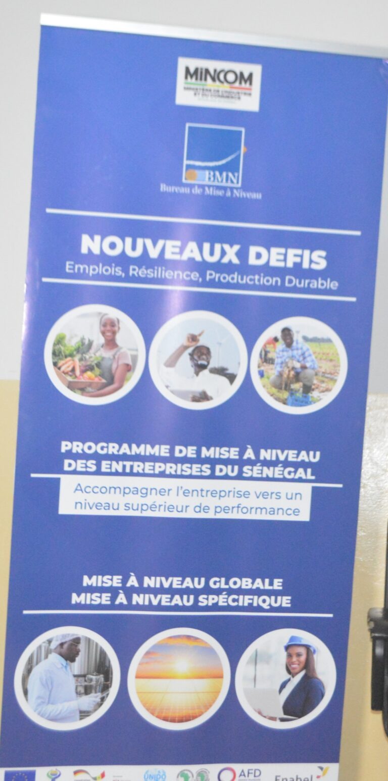 Thiès : les soudeurs du cadre unitaire des artisans remis à niveau